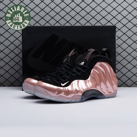 Nike Air Foamposite One Rust Pink 314996 602 Size 40-47.5